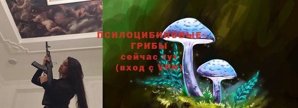 PSILOCYBIN Елизово