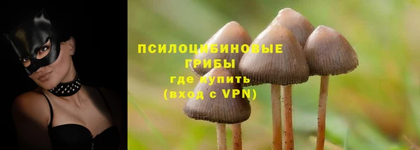 мяу мяу мука Ельня