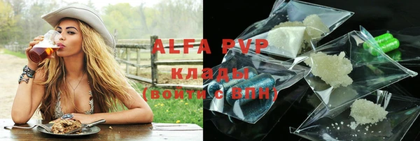 PSILOCYBIN Елизово
