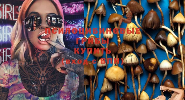 мяу мяу мука Ельня
