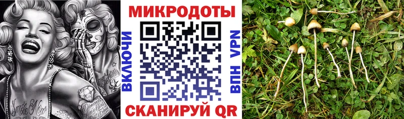даркнет сайт  Харовск  Галлюциногенные грибы Psilocybine cubensis 